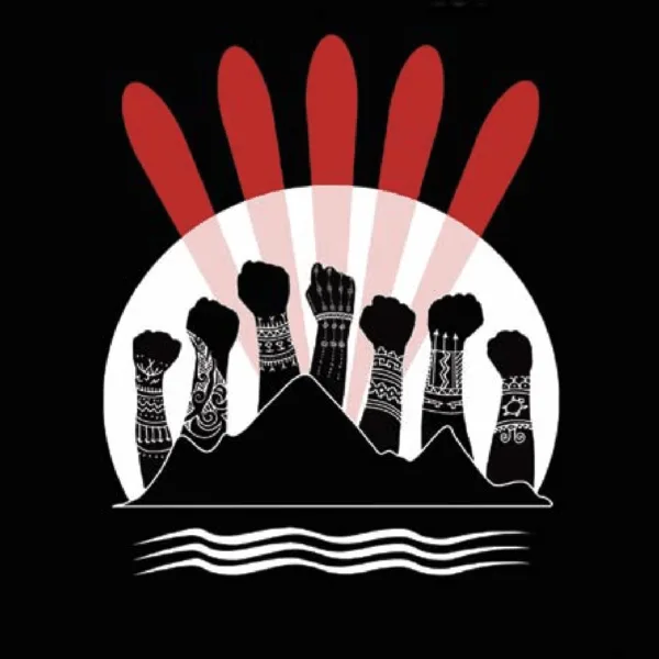 From cover of "Who's Land is it Anyway? A Manual for Decolonization" by Peter McFarlane & Nicole Schabus