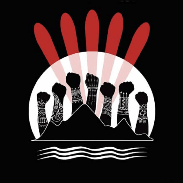 From cover of "Who's Land is it Anyway? A Manual for Decolonization" by Peter McFarlane & Nicole Schabus