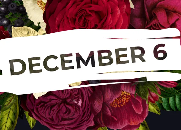 December 6: National Day of Remembrance and Action on Violence against Women