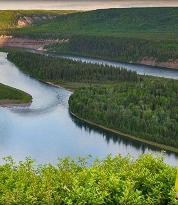 Statement on Indigenous Rights and the Need to Review the Site C Dam Project