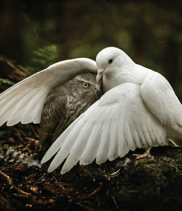 More Harm than Good? Humanizing Post-Secondary Systems